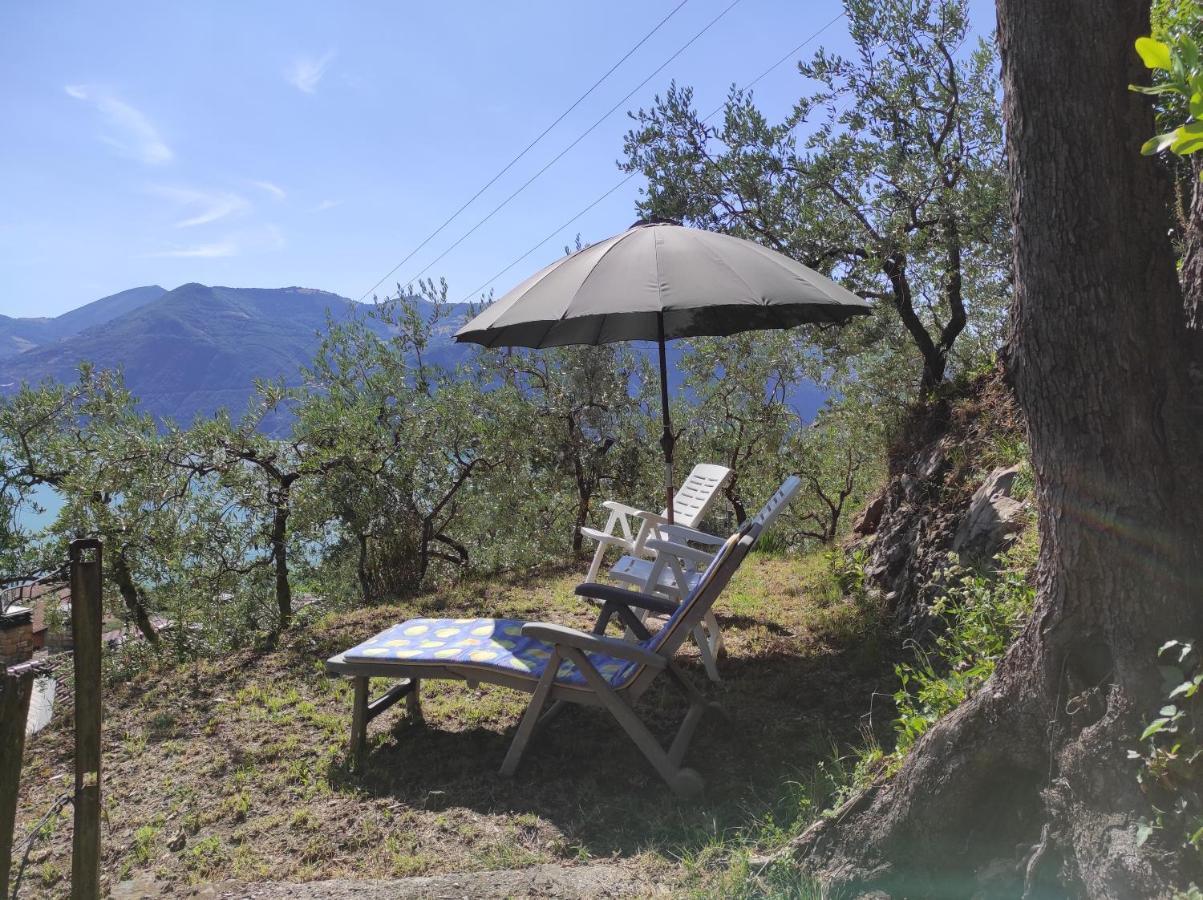 Casadolcelago Marone Villa Con Giardino Vista Lago Private Parking Екстериор снимка
