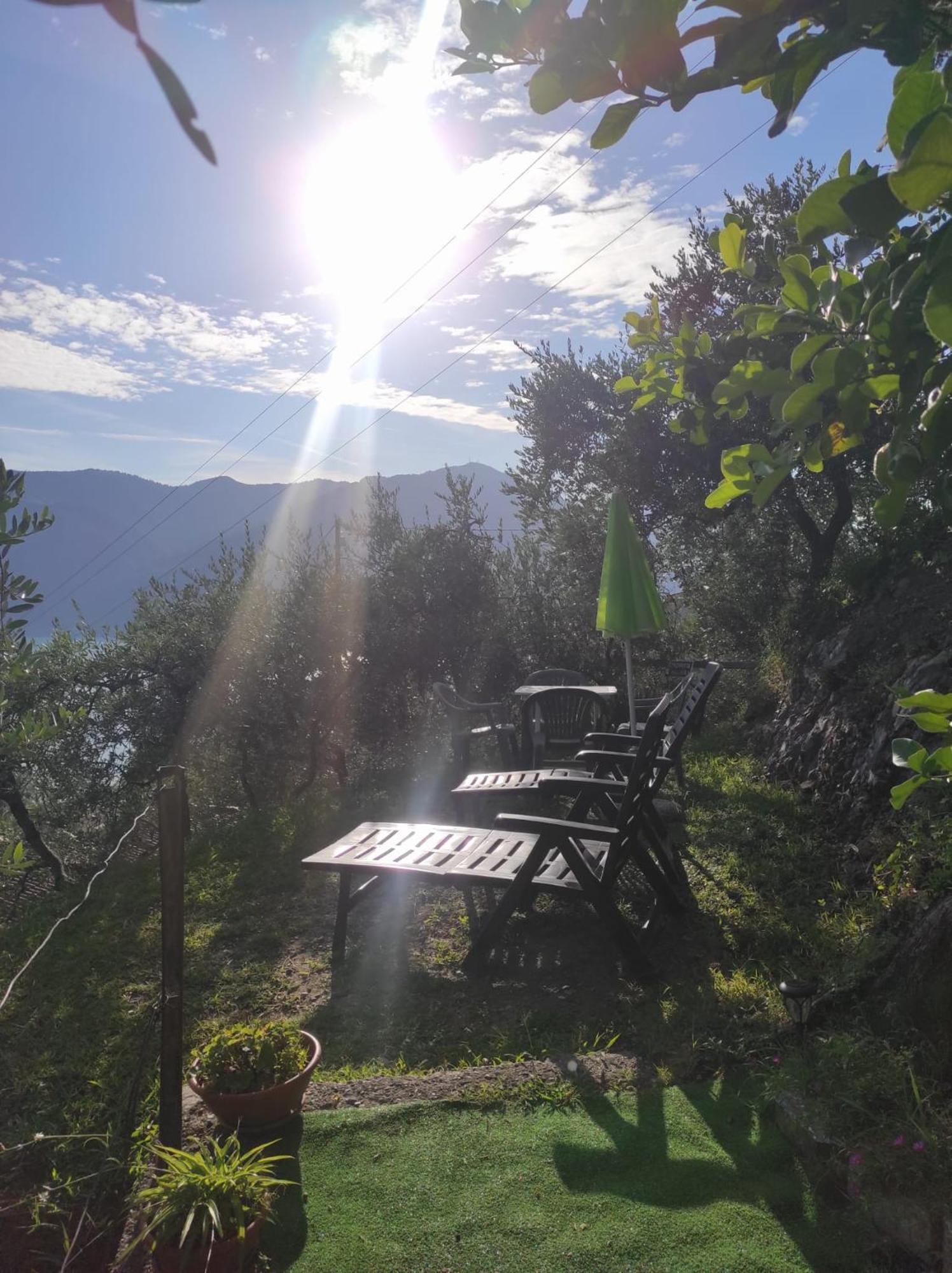 Casadolcelago Marone Villa Con Giardino Vista Lago Private Parking Екстериор снимка