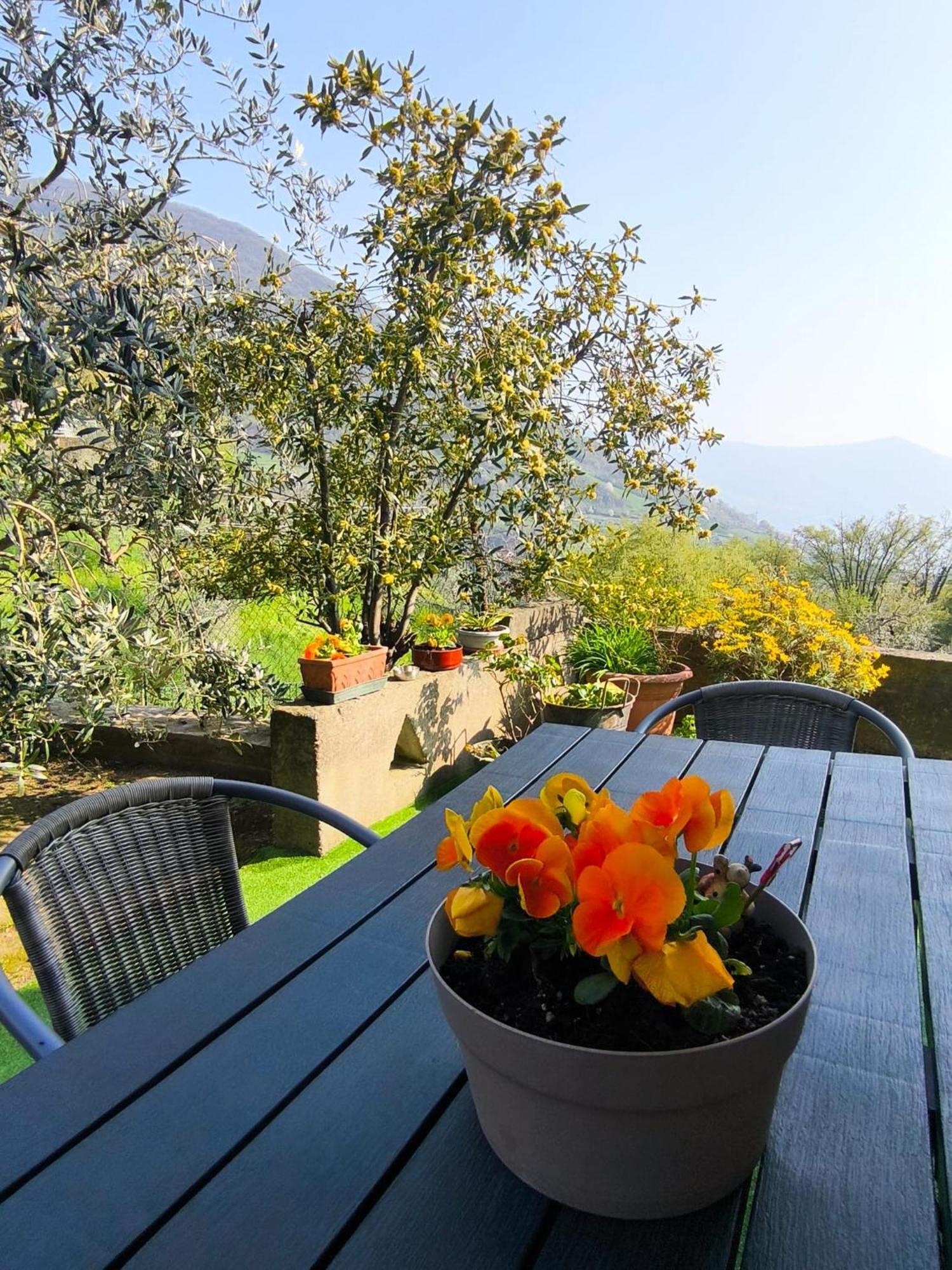 Casadolcelago Marone Villa Con Giardino Vista Lago Private Parking Екстериор снимка